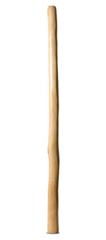 Natural Finish Didgeridoo (TW961)